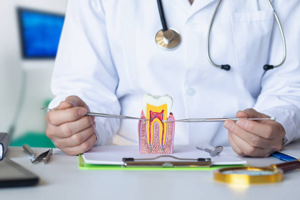 Best Broken or Chipped Tooth Repair in Manorville, NY